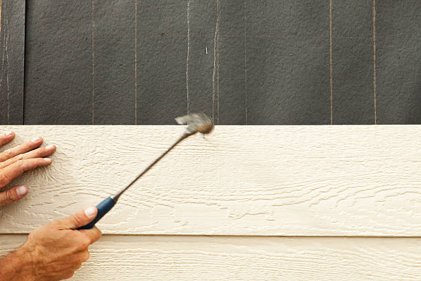 Best Insulated Siding Installation  in Bellemont, AZ